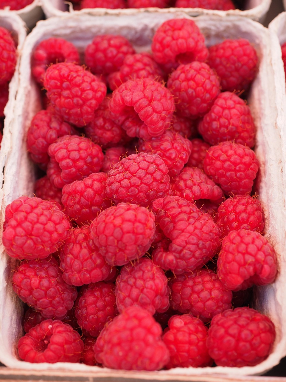 mobile-01 raspberries, berries, fruits, harvest, produce, organic, fresh, fresh fruits, fresh berries, fresh raspberries, red berries, vitamins, delicious, healthy, rubus idaeus, nutritious, raspberries, raspberries, raspberries, raspberries, raspberries, berries, berries, fruits, fruits, produce